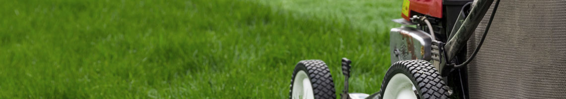 Yard Work Services in Southern New Hampshire 1 Yard work